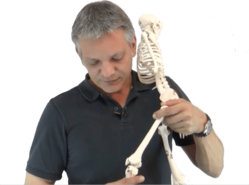 Diagnose Ursachen
