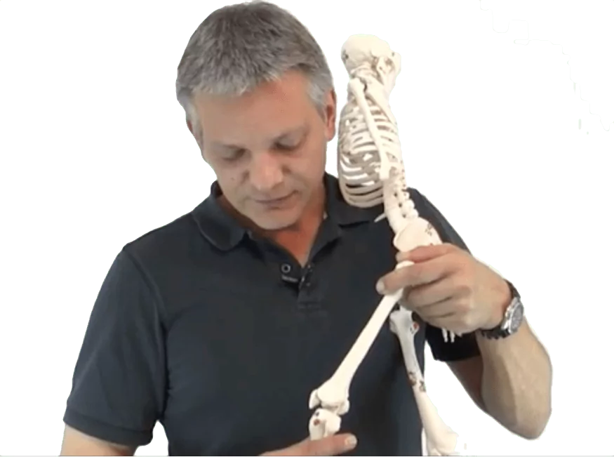 Diagnose Ursachen